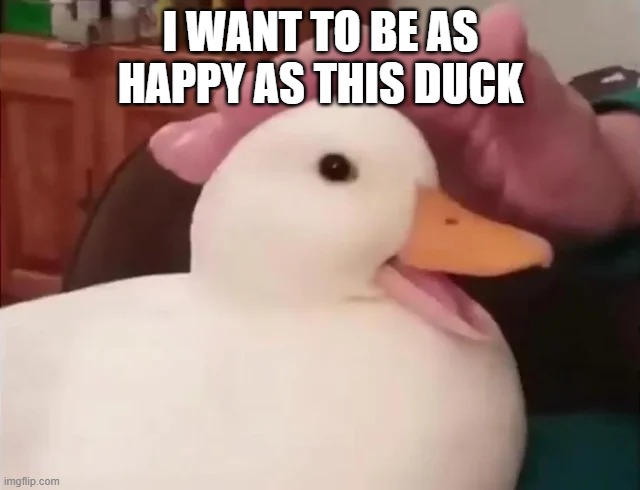 one happy duck | I WANT TO BE AS HAPPY AS THIS DUCK | image tagged in happy,fun | made w/ Imgflip meme maker