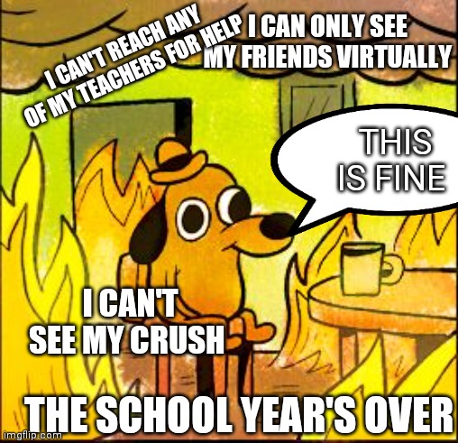 I'm fine | I CAN ONLY SEE MY FRIENDS VIRTUALLY; I CAN'T REACH ANY OF MY TEACHERS FOR HELP; THIS IS FINE; I CAN'T SEE MY CRUSH; THE SCHOOL YEAR'S OVER | image tagged in this is fine,too funny,so sad | made w/ Imgflip meme maker