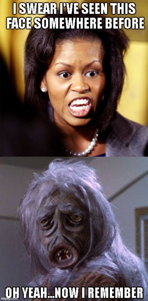 looks like | image tagged in michelle obama,you suck | made w/ Imgflip meme maker