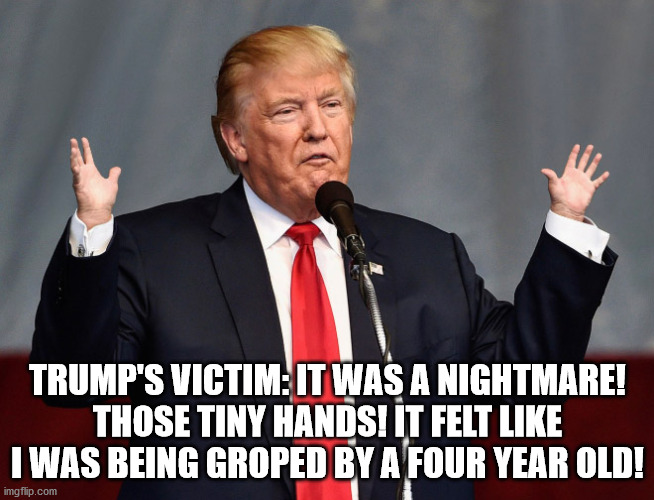 TRUMP'S VICTIM: IT WAS A NIGHTMARE! THOSE TINY HANDS! IT FELT LIKE I WAS BEING GROPED BY A FOUR YEAR OLD! | image tagged in trump | made w/ Imgflip meme maker