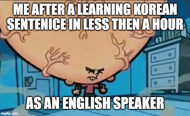 Korean timmy | ME AFTER A LEARNING KOREAN SENTENICE IN LESS THEN A HOUR; AS AN ENGLISH SPEAKER | image tagged in big brain timmy | made w/ Imgflip meme maker