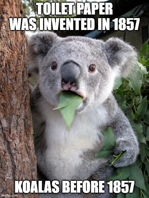 Surprised Koala Meme | TOILET PAPER WAS INVENTED IN 1857; KOALAS BEFORE 1857 | image tagged in memes,surprised koala | made w/ Imgflip meme maker