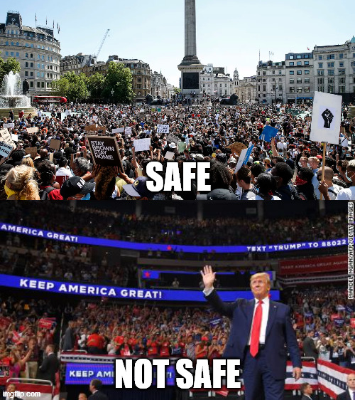 Any Questions? | SAFE; NOT SAFE | image tagged in donald trump,blm,politics,corrupt democrats | made w/ Imgflip meme maker