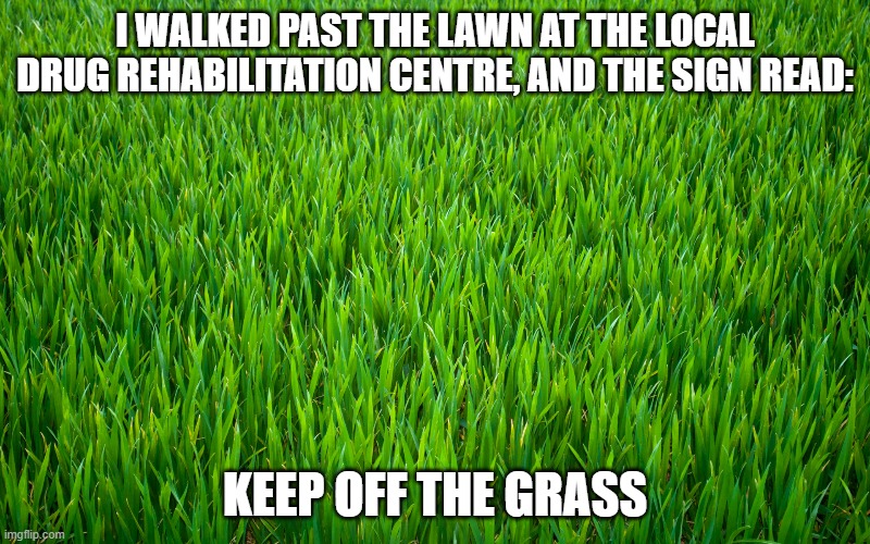 Grass | I WALKED PAST THE LAWN AT THE LOCAL DRUG REHABILITATION CENTRE, AND THE SIGN READ:; KEEP OFF THE GRASS | image tagged in grass | made w/ Imgflip meme maker