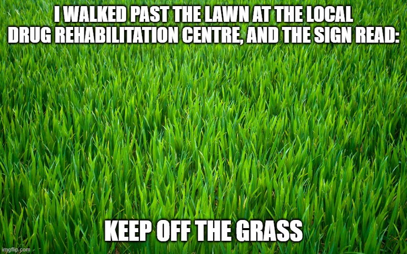 Grass Imgflip