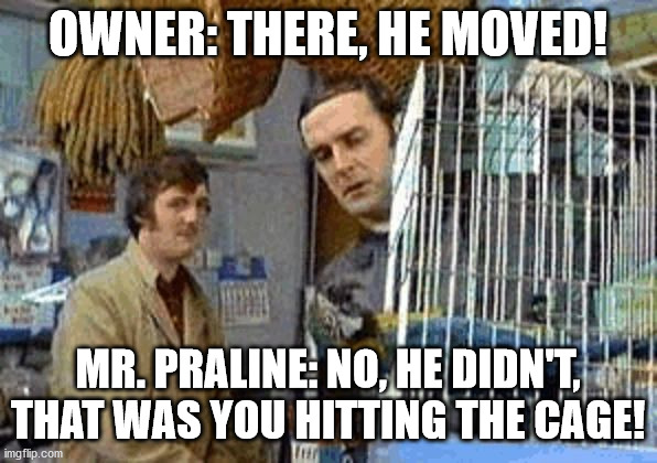 Monty Python dead parrot | OWNER: THERE, HE MOVED! MR. PRALINE: NO, HE DIDN'T, THAT WAS YOU HITTING THE CAGE! | image tagged in monty python dead parrot | made w/ Imgflip meme maker