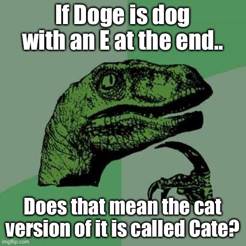 Philosoraptor | If Doge is dog with an E at the end.. Does that mean the cat version of it is called Cate? | image tagged in memes,philosoraptor,doge | made w/ Imgflip meme maker
