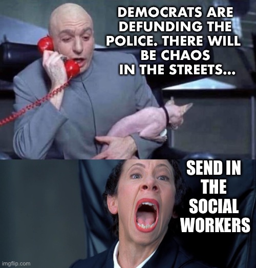 It’s an evil plan | DEMOCRATS ARE
 DEFUNDING THE 
POLICE. THERE WILL 
BE CHAOS
 IN THE STREETS... SEND IN 
THE 
SOCIAL 
WORKERS | image tagged in dr evil and frau,police | made w/ Imgflip meme maker