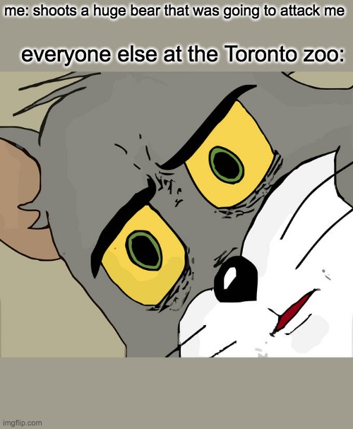 heh... guns are illegal in Canada... | me: shoots a huge bear that was going to attack me; everyone else at the Toronto zoo: | image tagged in memes,unsettled tom | made w/ Imgflip meme maker