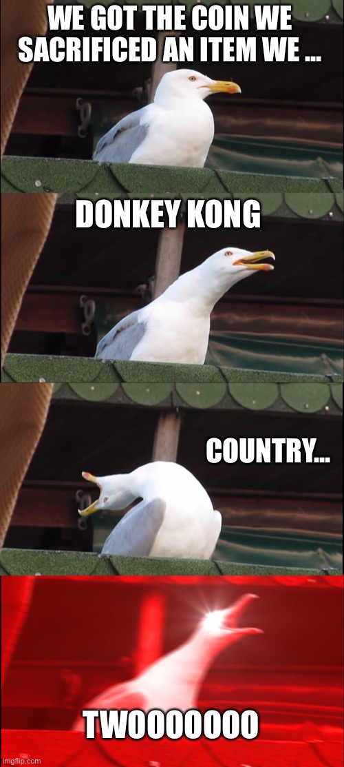 Only Troydan fans will get this | WE GOT THE COIN WE SACRIFICED AN ITEM WE ... DONKEY KONG; COUNTRY... TWOOOOOOO | image tagged in memes,inhaling seagull,donkey kong,lol,funny memes | made w/ Imgflip meme maker