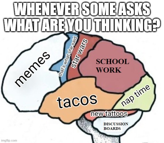 THINKING | WHENEVER SOME ASKS WHAT ARE YOU THINKING? | image tagged in weird stuff | made w/ Imgflip meme maker