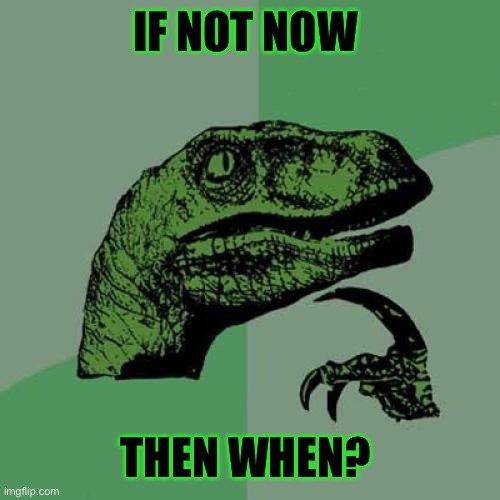 Philosophical question | IF NOT NOW; THEN WHEN? | image tagged in memes,philosoraptor | made w/ Imgflip meme maker