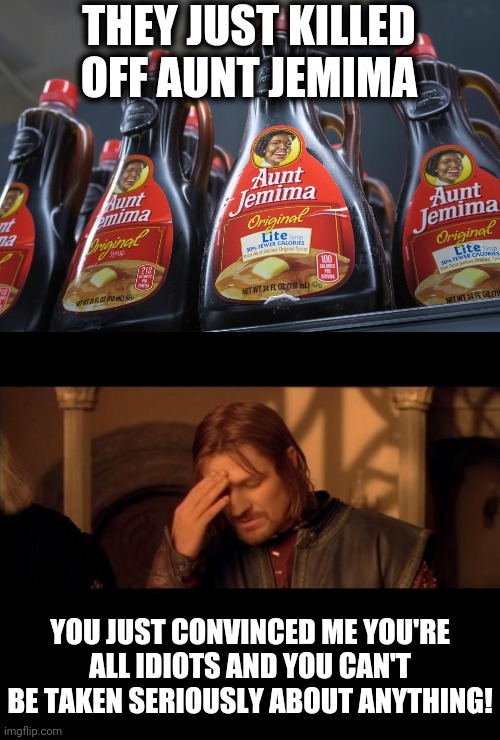 THEY JUST KILLED OFF AUNT JEMIMA; YOU JUST CONVINCED ME YOU'RE ALL IDIOTS AND YOU CAN'T BE TAKEN SERIOUSLY ABOUT ANYTHING! | image tagged in sean bean,memes,aunt jemima,stupid liberals | made w/ Imgflip meme maker