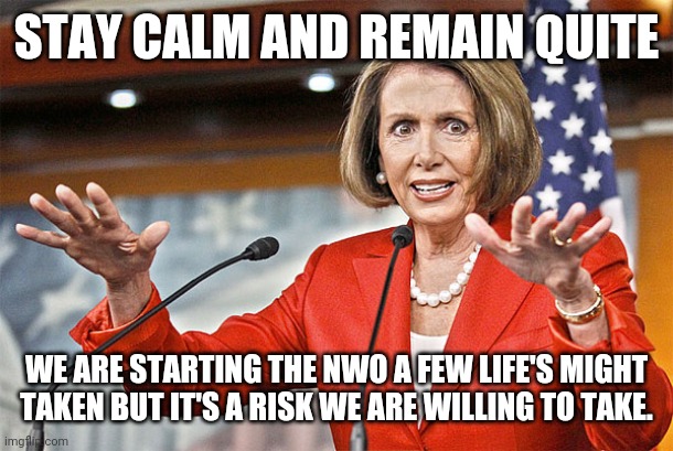 Nancy Pelosi is crazy | STAY CALM AND REMAIN QUITE; WE ARE STARTING THE NWO A FEW LIFE'S MIGHT TAKEN BUT IT'S A RISK WE ARE WILLING TO TAKE. | image tagged in nancy pelosi is crazy | made w/ Imgflip meme maker
