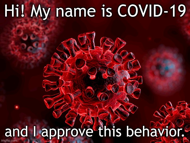 Covid 19 Approves This Behavior | Hi! My name is COVID-19; and I approve this behavior. | image tagged in covid-19 | made w/ Imgflip meme maker