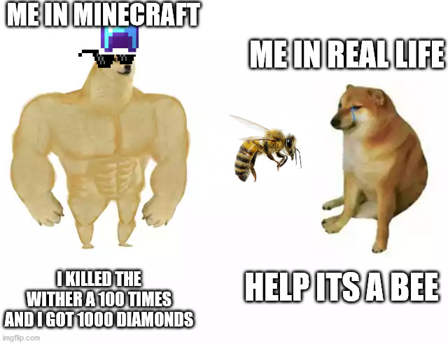 MINECRAFT Vs a Real Life | ME IN MINECRAFT; ME IN REAL LIFE; I KILLED THE WITHER A 100 TIMES AND I GOT 1000 DIAMONDS; HELP ITS A BEE | image tagged in buff doge vs cheems,minecraft | made w/ Imgflip meme maker