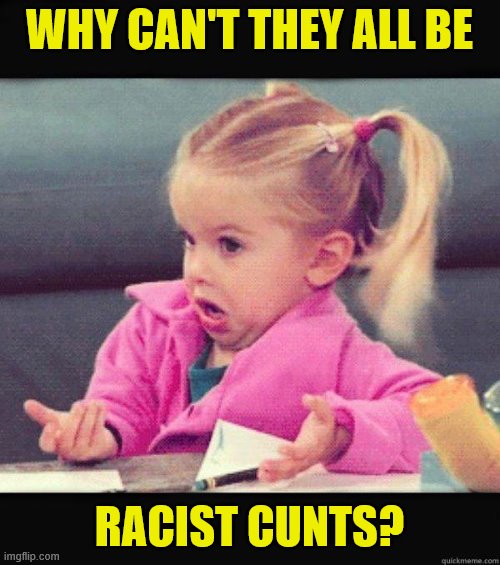 Dafuq Girl | WHY CAN'T THEY ALL BE RACIST CUNTS? | image tagged in dafuq girl | made w/ Imgflip meme maker