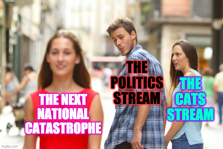 What side would Catwoman choose? | THE POLITICS STREAM; THE CATS STREAM; THE NEXT
NATIONAL
CATASTROPHE | image tagged in memes,distracted boyfriend,cats,politics lol | made w/ Imgflip meme maker