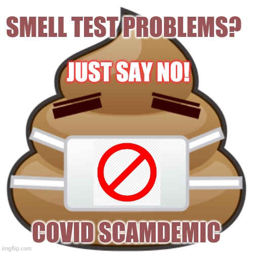 Can't Breathe? Take off the MASK. It's a SCAM. | SMELL TEST PROBLEMS? JUST SAY NO! COVID SCAMDEMIC | image tagged in covid scamdemic,covid19,covidiots,i can't even,breathe,the great awakening | made w/ Imgflip meme maker