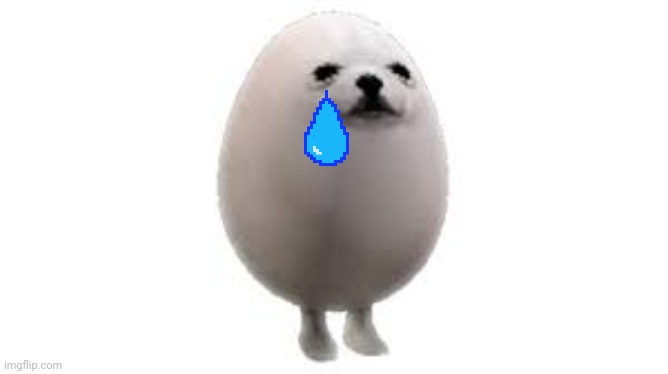 Egg Dog | image tagged in egg dog | made w/ Imgflip meme maker