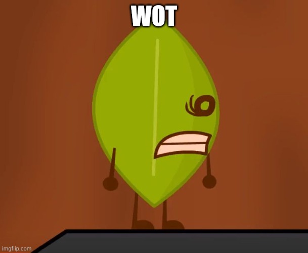 BFDI "Wat" Face | WOT | image tagged in bfdi wat face | made w/ Imgflip meme maker