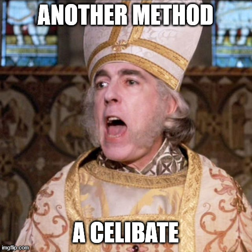 princess bride priest | ANOTHER METHOD A CELIBATE | image tagged in princess bride priest | made w/ Imgflip meme maker