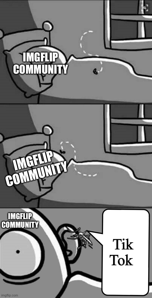 They don’t like that word | IMGFLIP COMMUNITY; IMGFLIP COMMUNITY; Tik Tok; IMGFLIP COMMUNITY | image tagged in tik tok | made w/ Imgflip meme maker