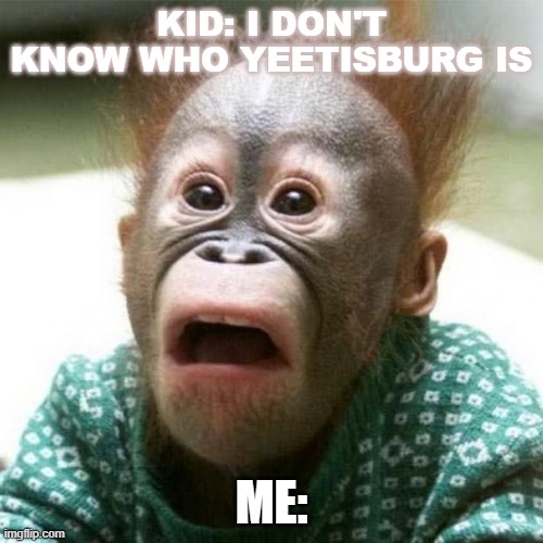 Read tags | KID: I DON'T KNOW WHO YEETISBURG IS; ME: | image tagged in yeetisburg_is_famous,i_love_yeetisburg | made w/ Imgflip meme maker