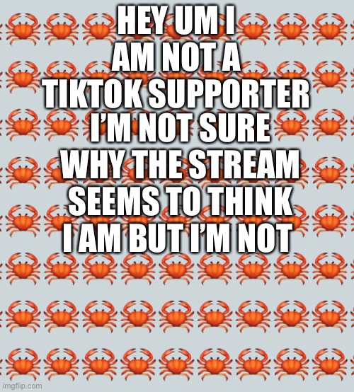 I’M NOT SURE WHY THE STREAM SEEMS TO THINK I AM BUT I’M NOT; HEY UM I AM NOT A TIKTOK SUPPORTER | made w/ Imgflip meme maker