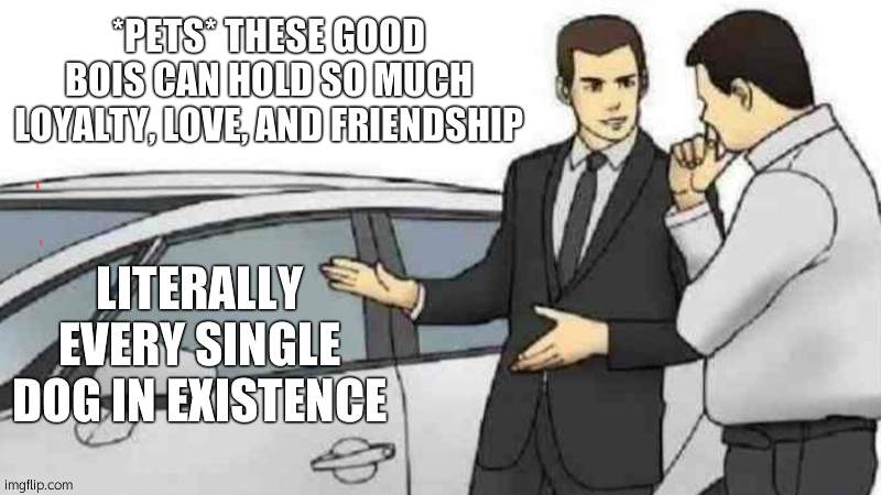 Car Salesman Slaps Roof Of Car | *PETS* THESE GOOD BOIS CAN HOLD SO MUCH LOYALTY, LOVE, AND FRIENDSHIP; LITERALLY EVERY SINGLE DOG IN EXISTENCE | image tagged in memes,car salesman slaps roof of car | made w/ Imgflip meme maker