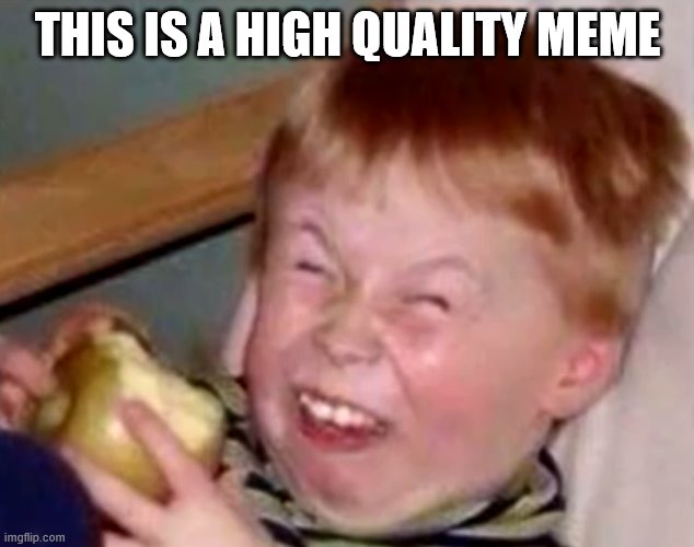 Sarcastic laughing kid | THIS IS A HIGH QUALITY MEME | image tagged in sarcastic laughing kid | made w/ Imgflip meme maker