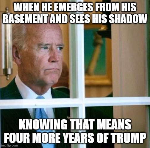 Bidenhog's Day | WHEN HE EMERGES FROM HIS BASEMENT AND SEES HIS SHADOW; KNOWING THAT MEANS FOUR MORE YEARS OF TRUMP | image tagged in sad joe biden | made w/ Imgflip meme maker