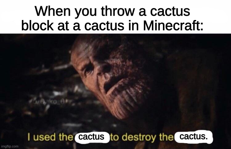 Cactusception |  When you throw a cactus block at a cactus in Minecraft:; cactus. cactus | image tagged in minecraft,thanos,i used the stones to destroy the stones,avengers endgame,cactus | made w/ Imgflip meme maker