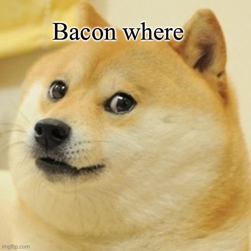 Bacon | Bacon where | image tagged in memes,doge | made w/ Imgflip meme maker