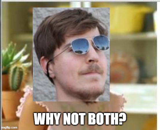 Why not both | WHY NOT BOTH? | image tagged in why not both | made w/ Imgflip meme maker