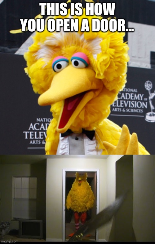 THIS IS HOW YOU OPEN A DOOR... | image tagged in memes,big bird | made w/ Imgflip meme maker