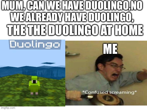 MUM, CAN WE HAVE DUOLINGO,NO WE ALREADY HAVE DUOLINGO, THE THE DUOLINGO AT HOME; ME | image tagged in confused screaming | made w/ Imgflip meme maker