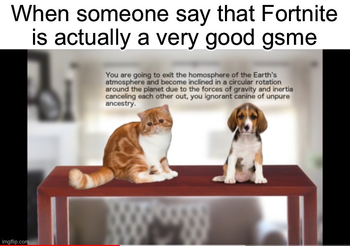 Haha cat funny | When someone say that Fortnite is actually a very good game | image tagged in funny cats | made w/ Imgflip meme maker