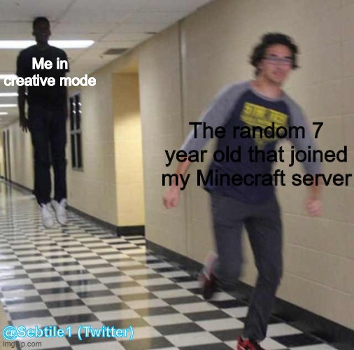 A meme i made | Me in creative mode; The random 7 year old that joined my Minecraft server; @Sebtile1 (Twitter) | image tagged in floating boy chasing running boy | made w/ Imgflip meme maker