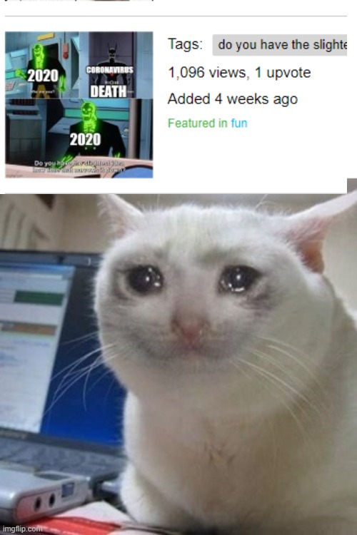 Crying cat | image tagged in crying cat | made w/ Imgflip meme maker