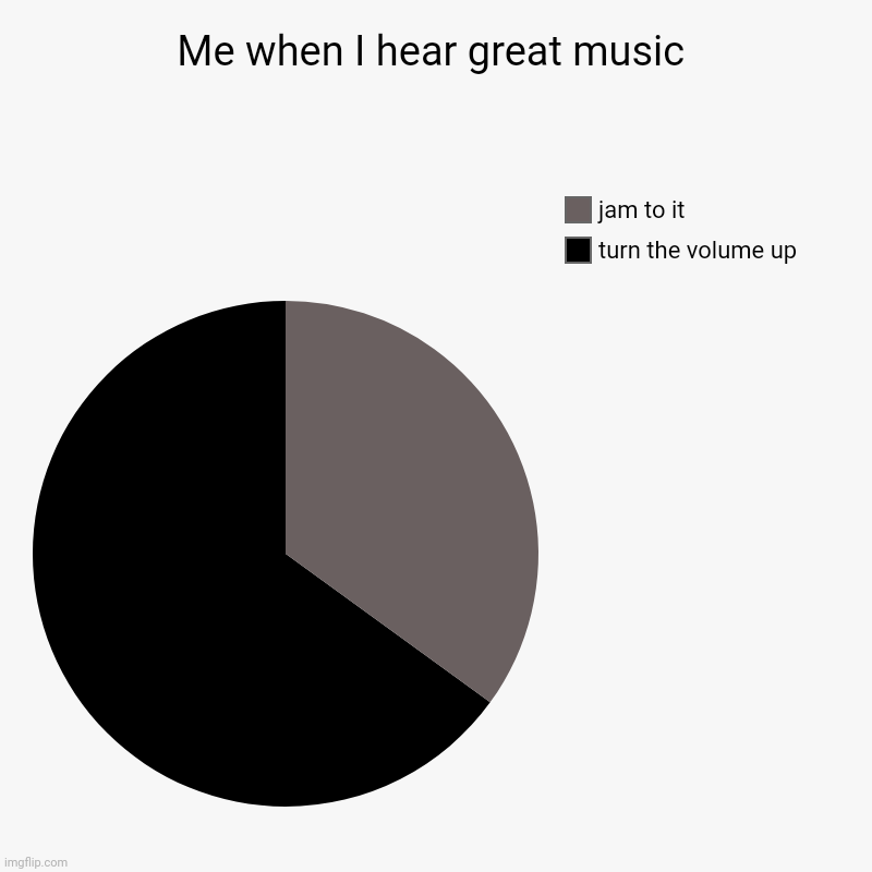 Me when I hear great music pie chart | Me when I hear great music | turn the volume up, jam to it | image tagged in charts,pie charts,chart,pie chart,music,funny | made w/ Imgflip chart maker