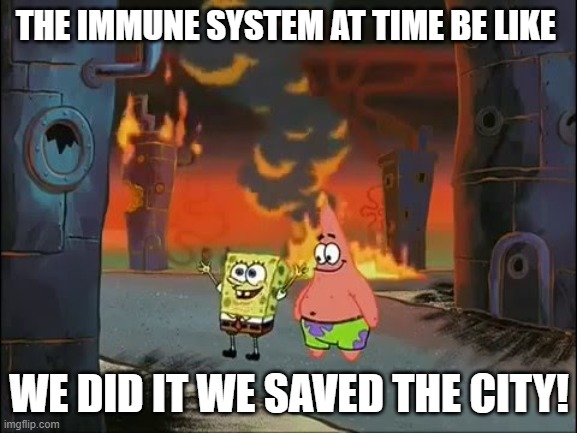 We did it Patrick we saved the city | THE IMMUNE SYSTEM AT TIME BE LIKE; WE DID IT WE SAVED THE CITY! | image tagged in we did it patrick we saved the city | made w/ Imgflip meme maker