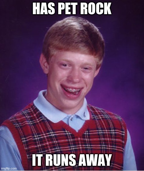 HAS PET ROCK IT RUNS AWAY | image tagged in memes,bad luck brian | made w/ Imgflip meme maker