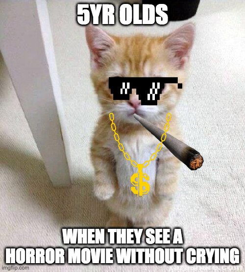 JBHTGRFEDWWEYHTHGRF | 5YR OLDS; WHEN THEY SEE A HORROR MOVIE WITHOUT CRYING | image tagged in memes,cute cat | made w/ Imgflip meme maker