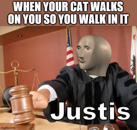 Meme man Justis | WHEN YOUR CAT WALKS ON YOU SO YOU WALK IN IT | image tagged in meme man justis | made w/ Imgflip meme maker