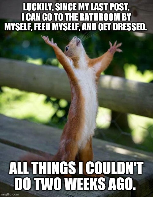 Happy Squirrel | LUCKILY, SINCE MY LAST POST, I CAN GO TO THE BATHROOM BY MYSELF, FEED MYSELF, AND GET DRESSED. ALL THINGS I COULDN'T DO TWO WEEKS AGO. | image tagged in happy squirrel | made w/ Imgflip meme maker