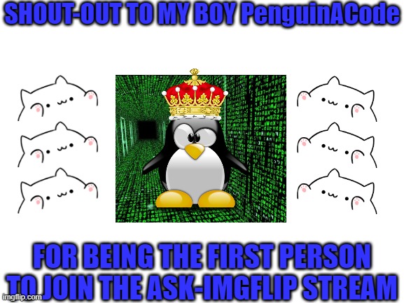 Blank White Template | SHOUT-OUT TO MY BOY PenguinACode; FOR BEING THE FIRST PERSON TO JOIN THE ASK-IMGFLIP STREAM | image tagged in blank white template | made w/ Imgflip meme maker