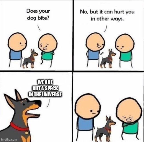 does your dog bite | WE ARE BUT A SPECK IN THE UNIVERSE | image tagged in does your dog bite | made w/ Imgflip meme maker