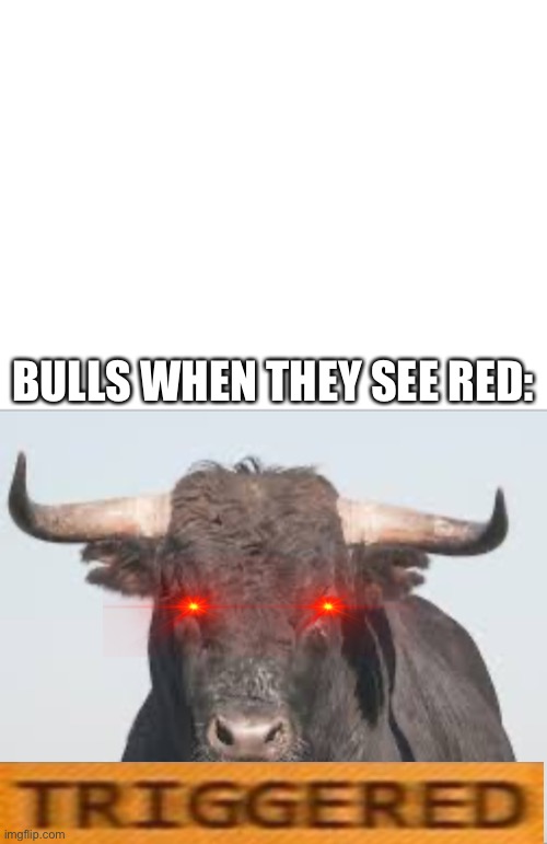 Bull | BULLS WHEN THEY SEE RED: | image tagged in memes,bull,triggered,laser eyes,red | made w/ Imgflip meme maker