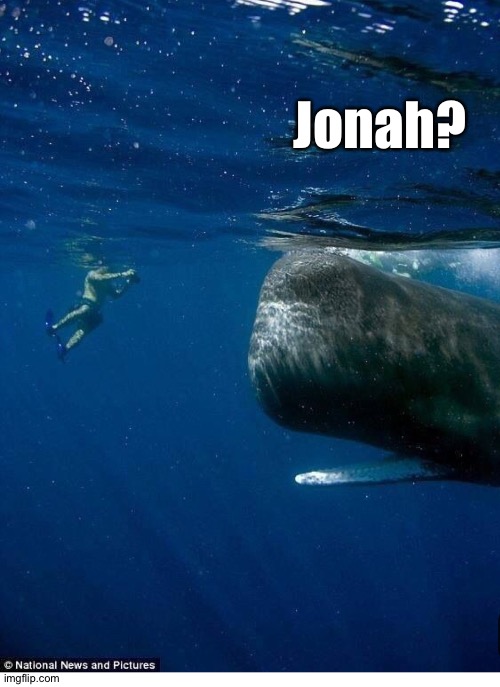 Jonah? | made w/ Imgflip meme maker